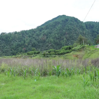 嚴(yán)厲打擊盜采盜挖礦產(chǎn)資源行為！國務(wù)院安委辦派出工作組明查暗訪